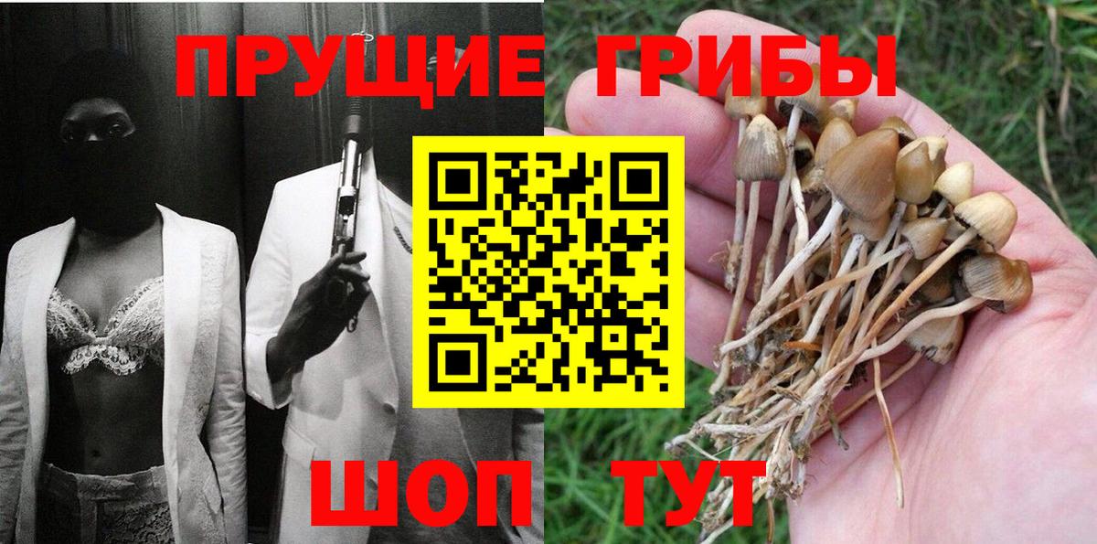 Псилоцибиновые грибы ЛСД Кандалакша