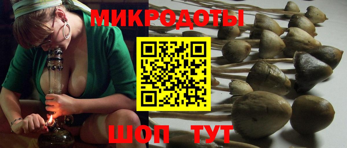наркошоп  Псилоцибиновые грибы Psilocybine cubensis  Кандалакша  Вход с VPN  Псилоцибиновые грибы GOLDEN TEACHER 